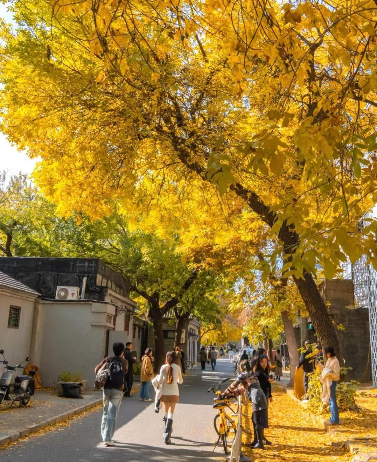 Hotel Nostalgia Guozijian Ghost Street - Near Temple, Beihai Park, Jingshan Park, Drum Tower, Houhai Bar Street, Tian'anmen Square, Located In Traditional Hutongs, 5 Minutes Away From Beixinqiao Metro Station