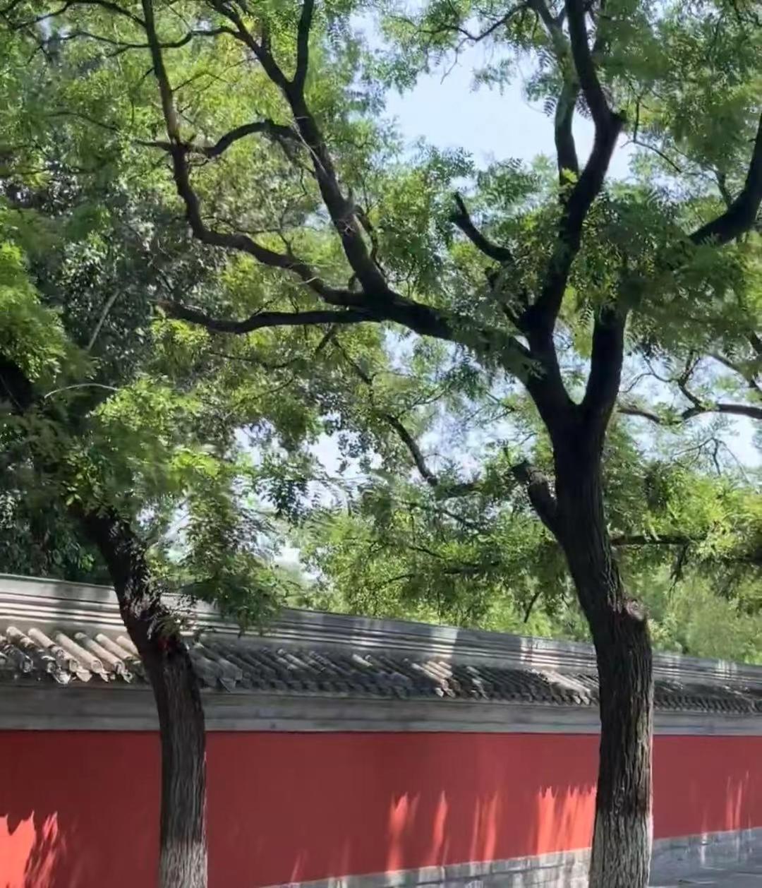 Nostalgia Guozijian Ghost Street - Near Temple, Beihai Park, Jingshan Park, Drum Tower, Houhai Bar Street, Tian'anmen Square, Located In Traditional Hutongs, 5 Minutes Away From Beixinqiao Metro Station Hotel Peking